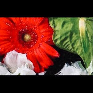 Meet your Posher, Jo